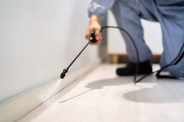 Licensed Cockroach Control service in Shelley, ID - Nex Pest Control