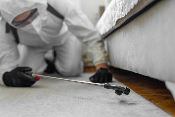 Professional Cockroach Control technician working in Shelley, ID