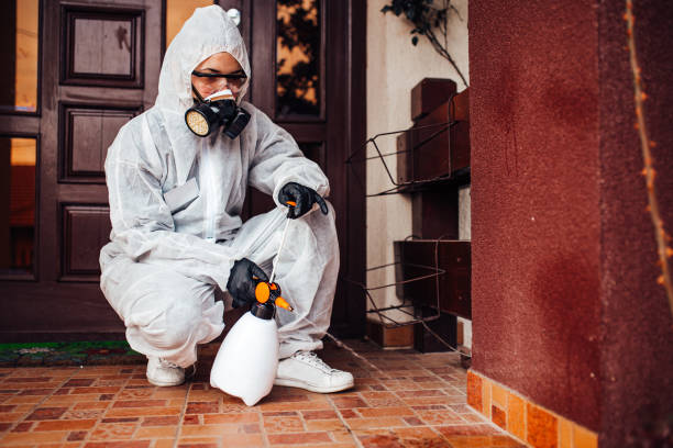 Reliable Cockroach Control contractor in Shelley, ID by Nex Pest Control